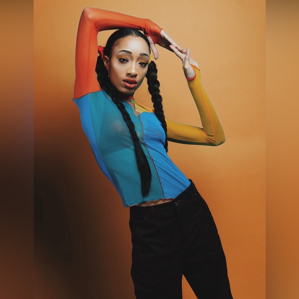 Color Block Mesh Top